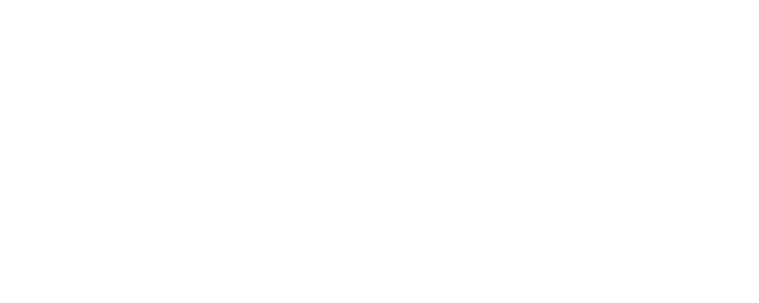 Fierce Consulting Group